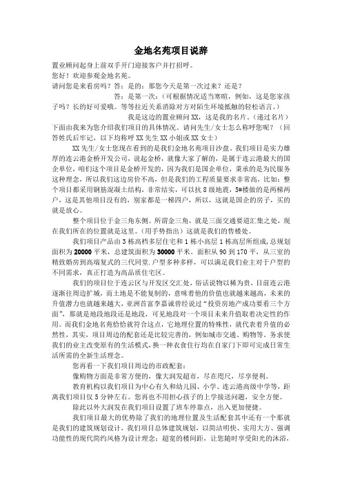 房地产项目说辞案例