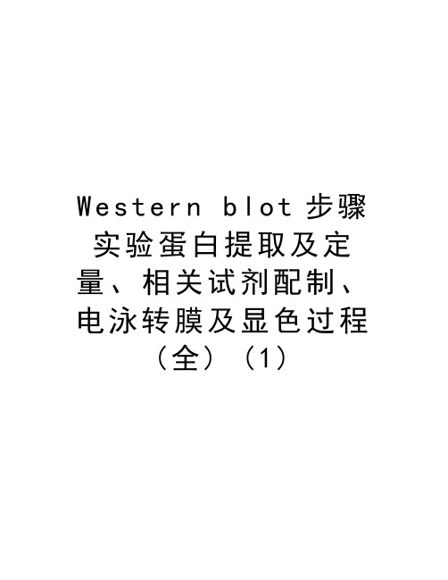 Western blot步骤实验蛋白提取及定量、相关试剂配制、电泳转膜及显色过程(全) (1)培训讲学