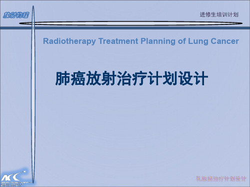 肺癌放射治疗计划设计