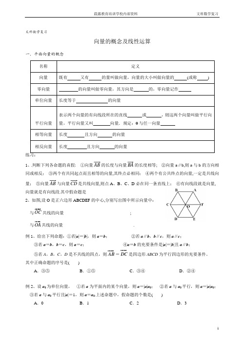 42.高中数学复习-向量的概念及线性运算