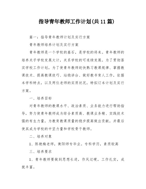 指导青年教师工作计划(共11篇)