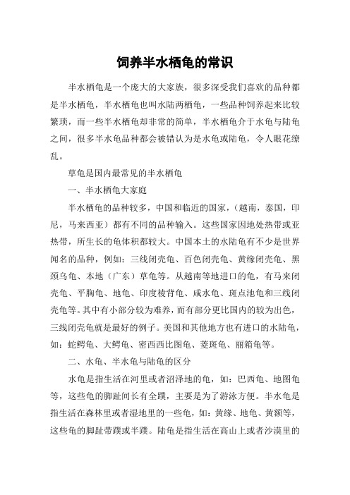 饲养半水栖龟的常识
