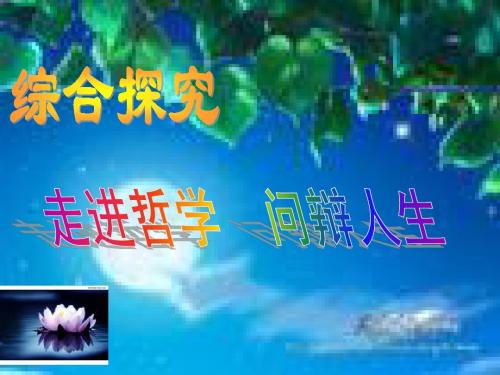 高中政治 1.3.3《走进哲学、辨问人生》课件 新人教版必修4