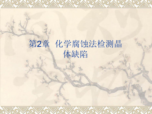 2.1 电化学腐蚀机理及腐蚀剂解析