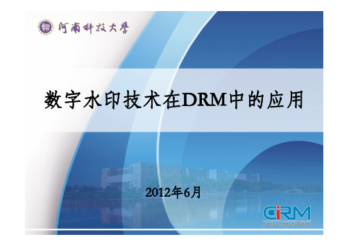 数字水印技术在DRM中的应用