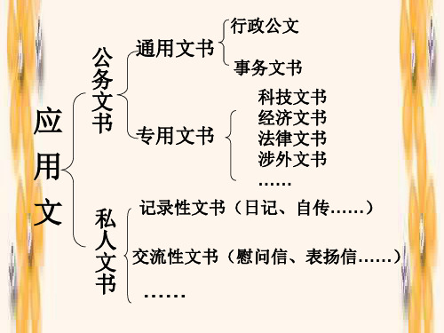 公务文书的写作格式ppt课件