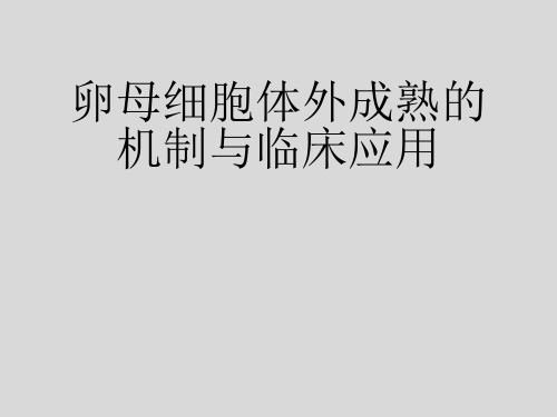 卵母细胞体外成熟的机制与临床应用ppt课件