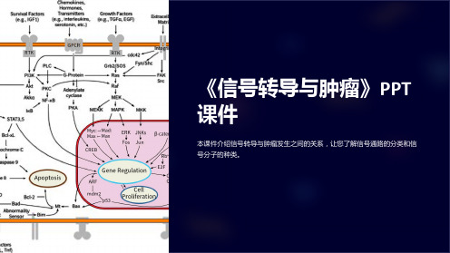 《信号转导与肿瘤》课件