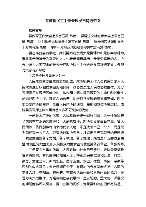 在政协民主工作会议发言精选范文