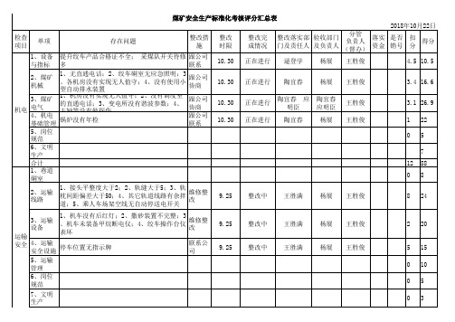 每月质量标准化评分表15