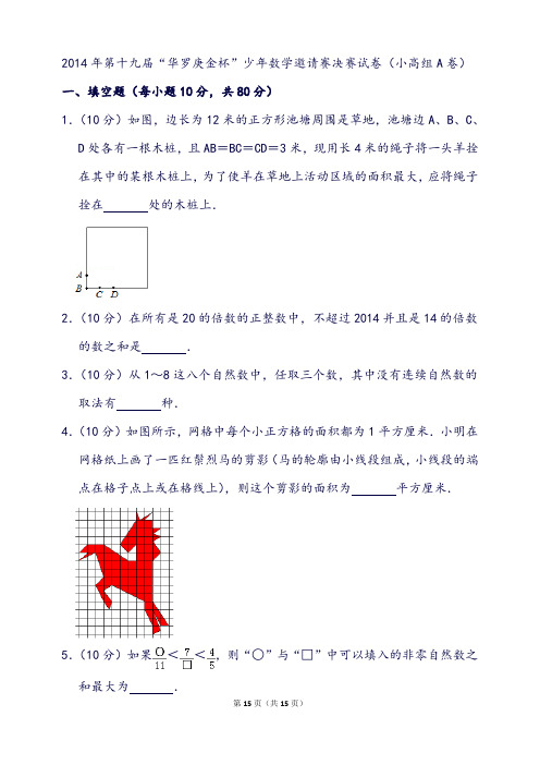 第十九届“华罗庚金杯”少年数学邀请赛决赛试卷(小高组a卷)