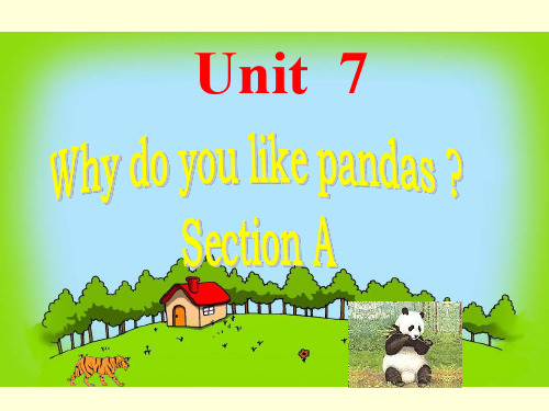 Unit 7 Why do you like pandas Section A 课件 2-优质公开课-鲁教6下精品