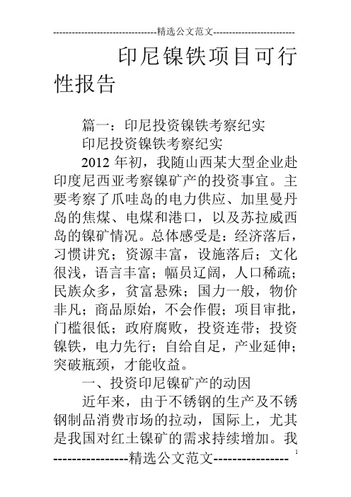 印尼镍铁项目可行性报告