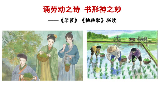 06《芣苢》《插秧歌》联读 公开课一等奖获奖课件