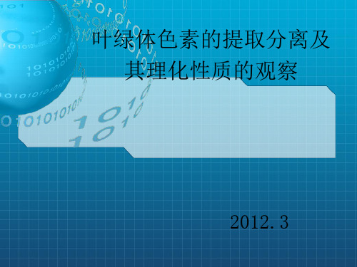 叶绿体色素的提取分离及其理化性质