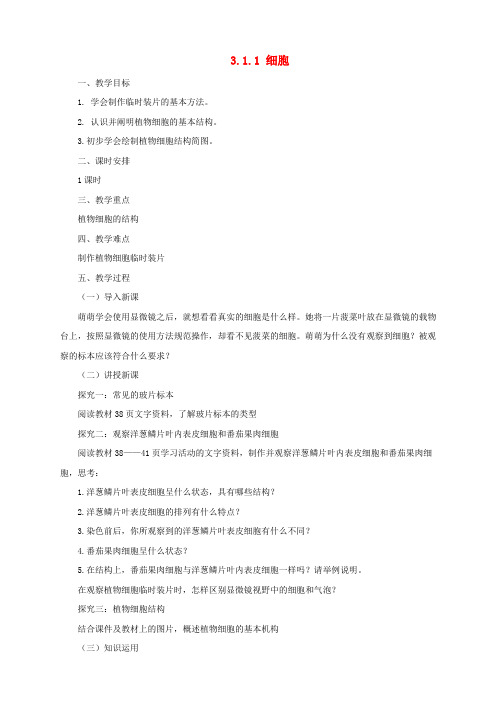 七年级生物上册3.1细胞教案1北京课改版