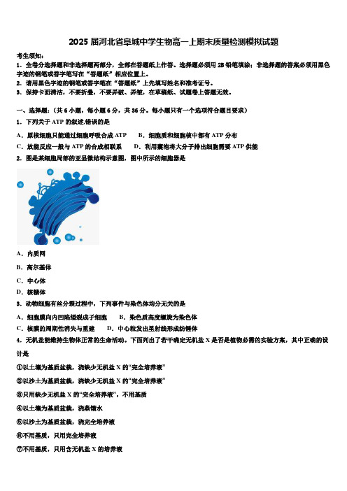 2025届河北省阜城中学生物高一上期末质量检测模拟试题含解析