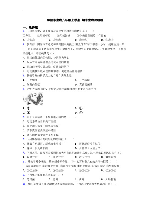 聊城市生物八年级上学期 期末生物试题题