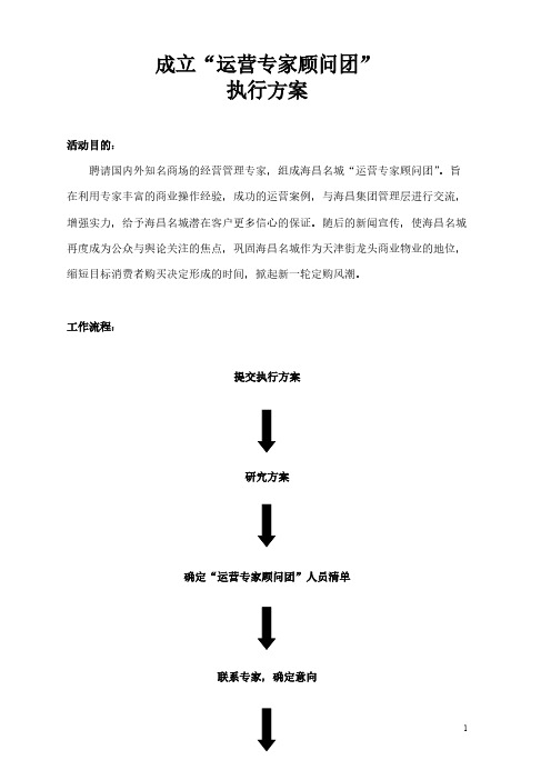 专家顾问团执行方案