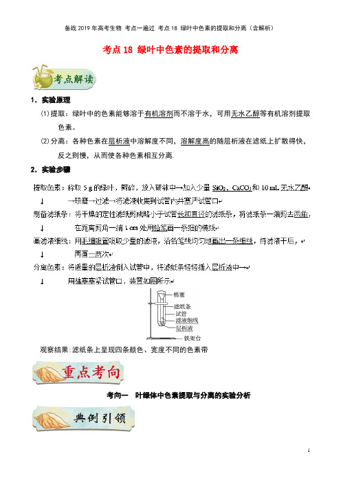 备战高考生物考点18绿叶中色素的提取和分离(含解析)(最新整理)