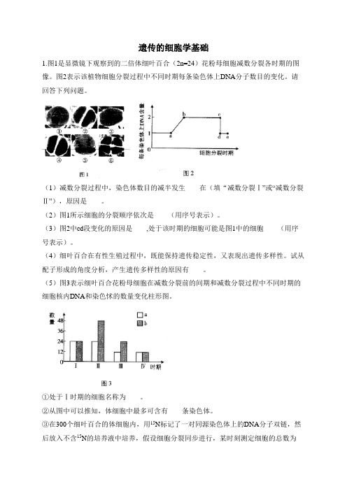 2024届高考生物一轮复习大题过关练遗传的细胞学基础 