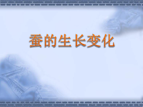 教科版科学三年级下册《蚕的生长变化》观察课件