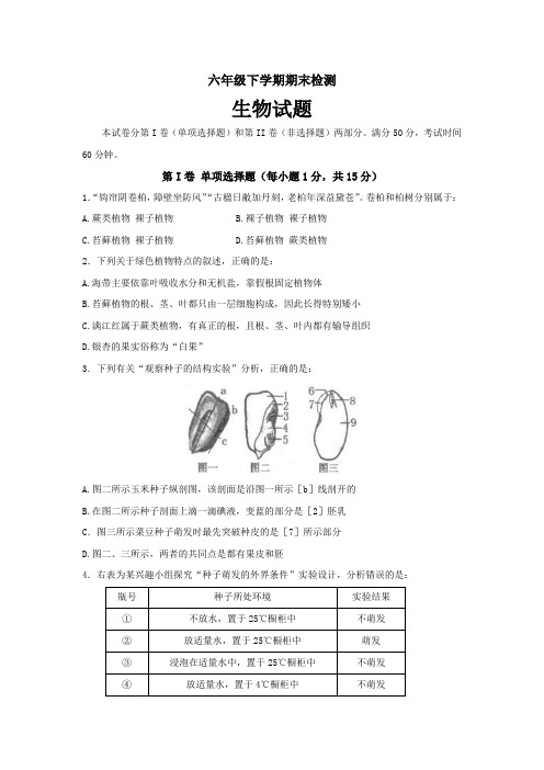 山东省泰安市新泰市(五四制)2021-2022学年六年级下学期期末考试生物试题