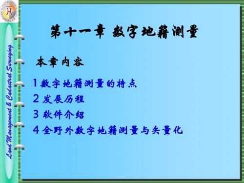 地籍测量   第十一章数据地籍测量