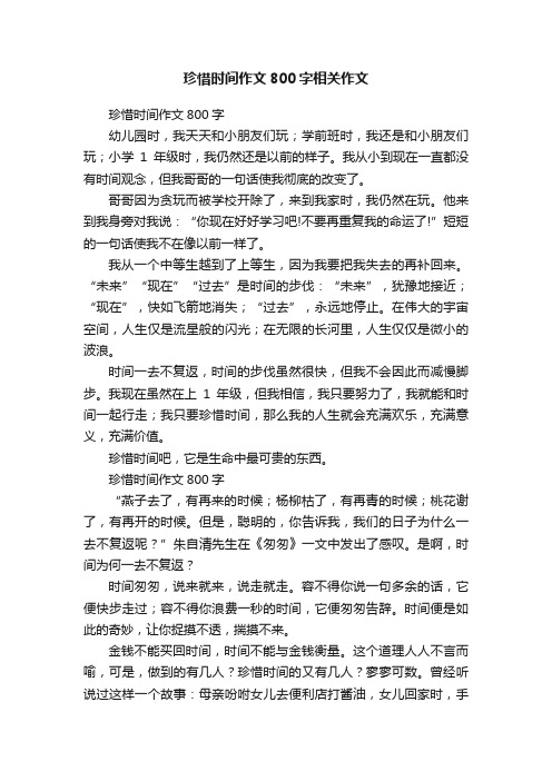 珍惜时间作文800字相关作文