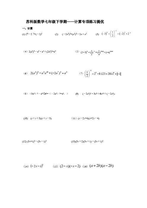 2020-2021学年苏科版数学七年级下学期计算专项练习提优