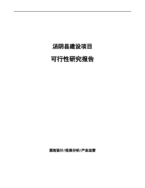 汤阴县项目可行性研究报告说明