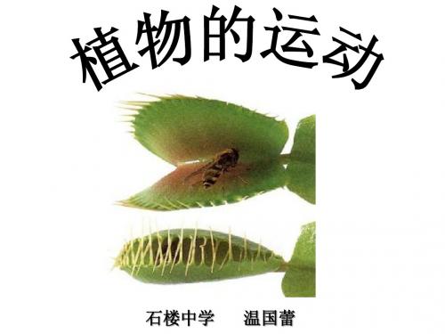 植物的运动