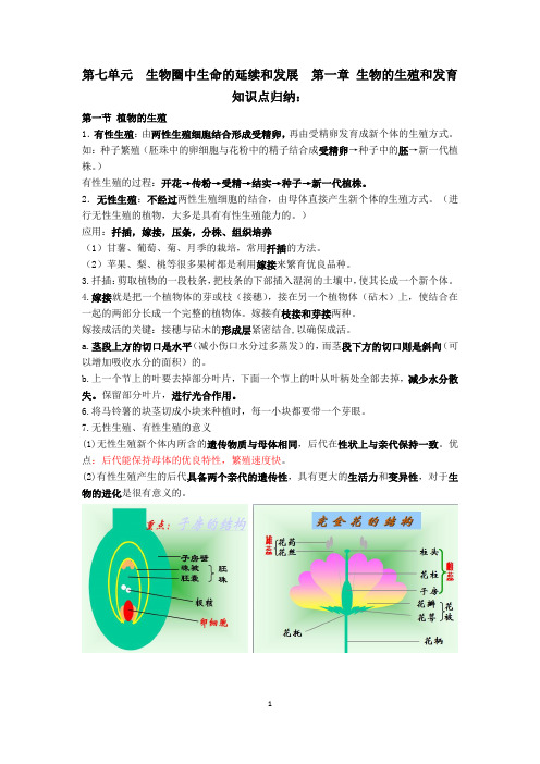 生物第七单元第一章知识点归纳