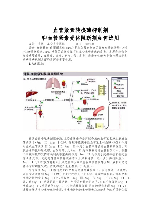 血管紧张素转换酶抑制剂