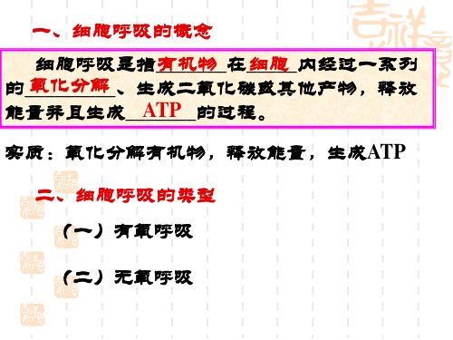 高三生物一轮复习课件：第5章第3节细胞呼吸PPT幻灯片