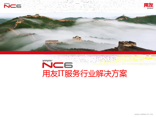 用友NCV6.3IT服务行业解决方案