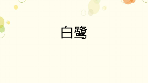 1《白鹭》课件(共23张PPT)