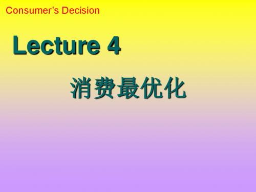 04消费最优化-文档资料