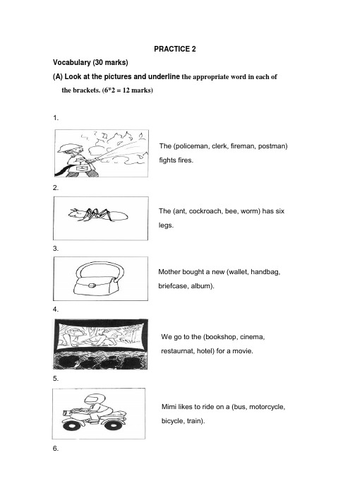 新加坡小学一年级英语试卷PRACTICE 2