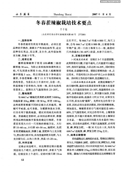 冬春茬辣椒栽培技术要点