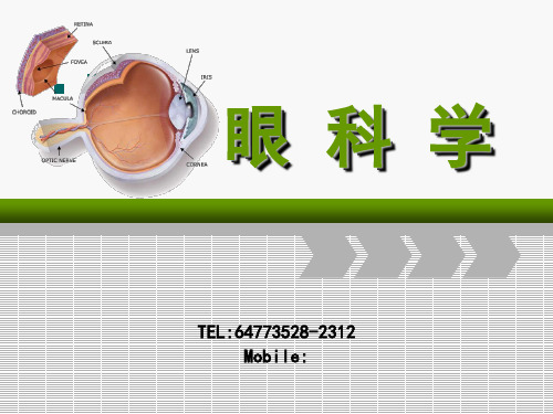 眼的应用解剖与生理-眼睑病-泪器病