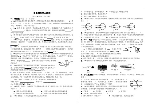 初三物理 《多彩的光》单元测试