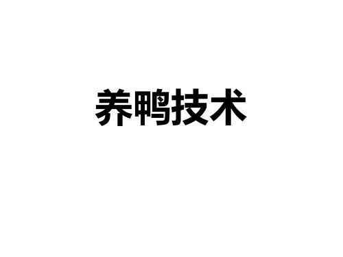 养鸭技术