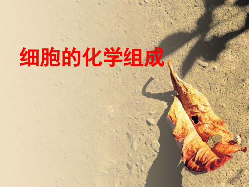 细胞的化学组成PPT精选文档