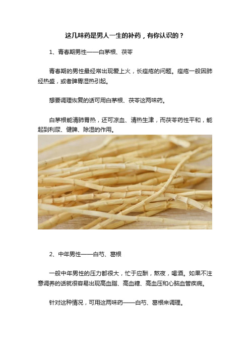 这几味药是男人一生的补药，有你认识的？