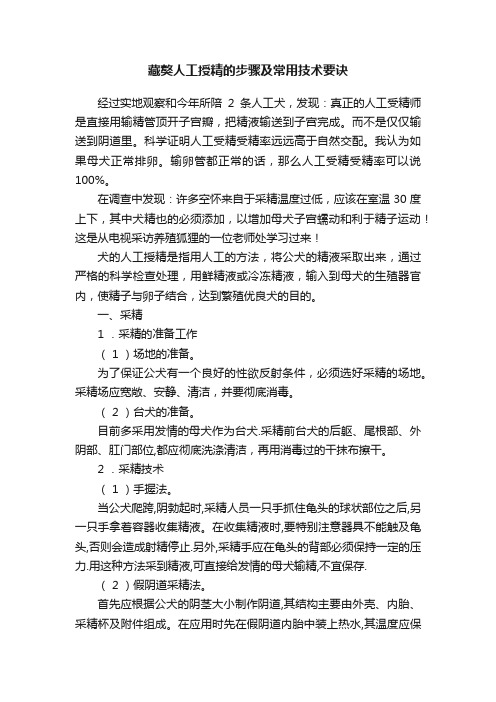 藏獒人工授精的步骤及常用技术要诀