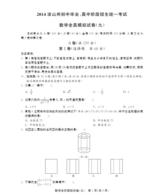 2014届四川凉山州中考数学全真模拟试卷(九)