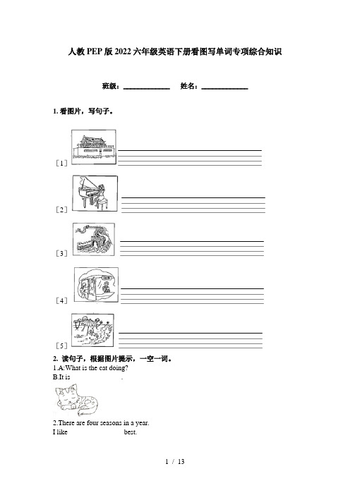 人教PEP版2022六年级英语下册看图写单词专项综合知识