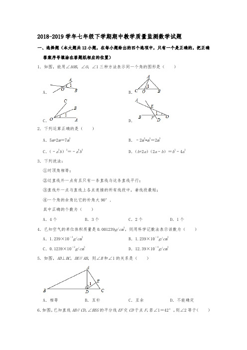 山东省2018-2019学年七年级下学期期中教学质量监测数学试题   含解析 (1)