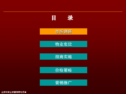 商业街招商营销方案PPT课件